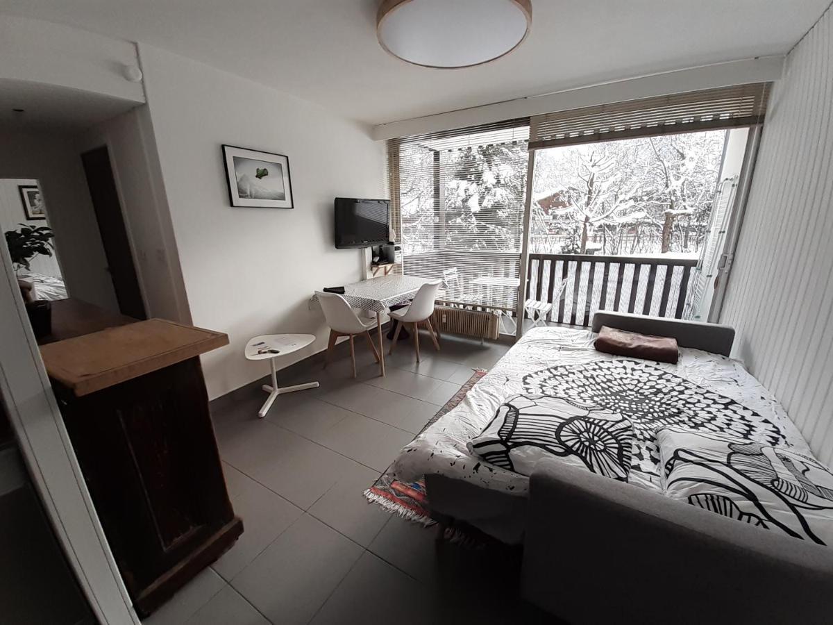 Studio Quartier Calme Centre Ville Vue Mont Blanc Chamonix Exterior photo