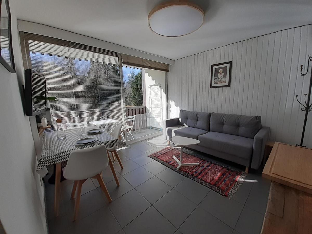 Studio Quartier Calme Centre Ville Vue Mont Blanc Chamonix Exterior photo
